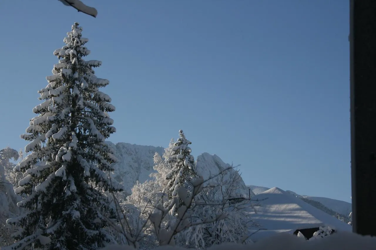 Apartamenty Paradis Zakopane Apartment