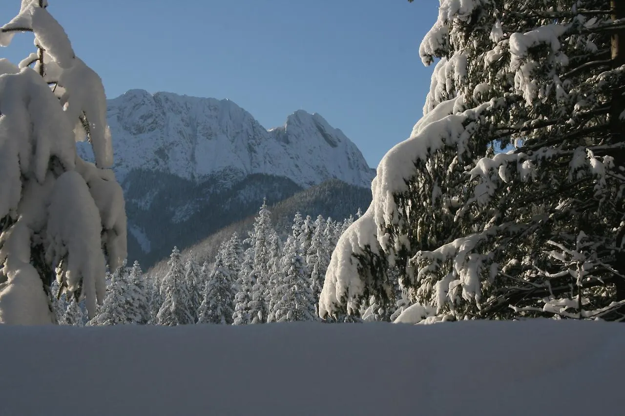 Apartment Apartamenty Paradis Zakopane Poland